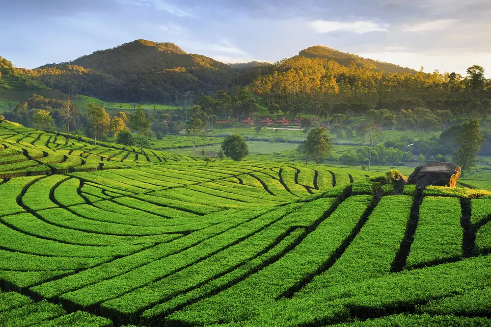 Wisata Alam Jawa Barat